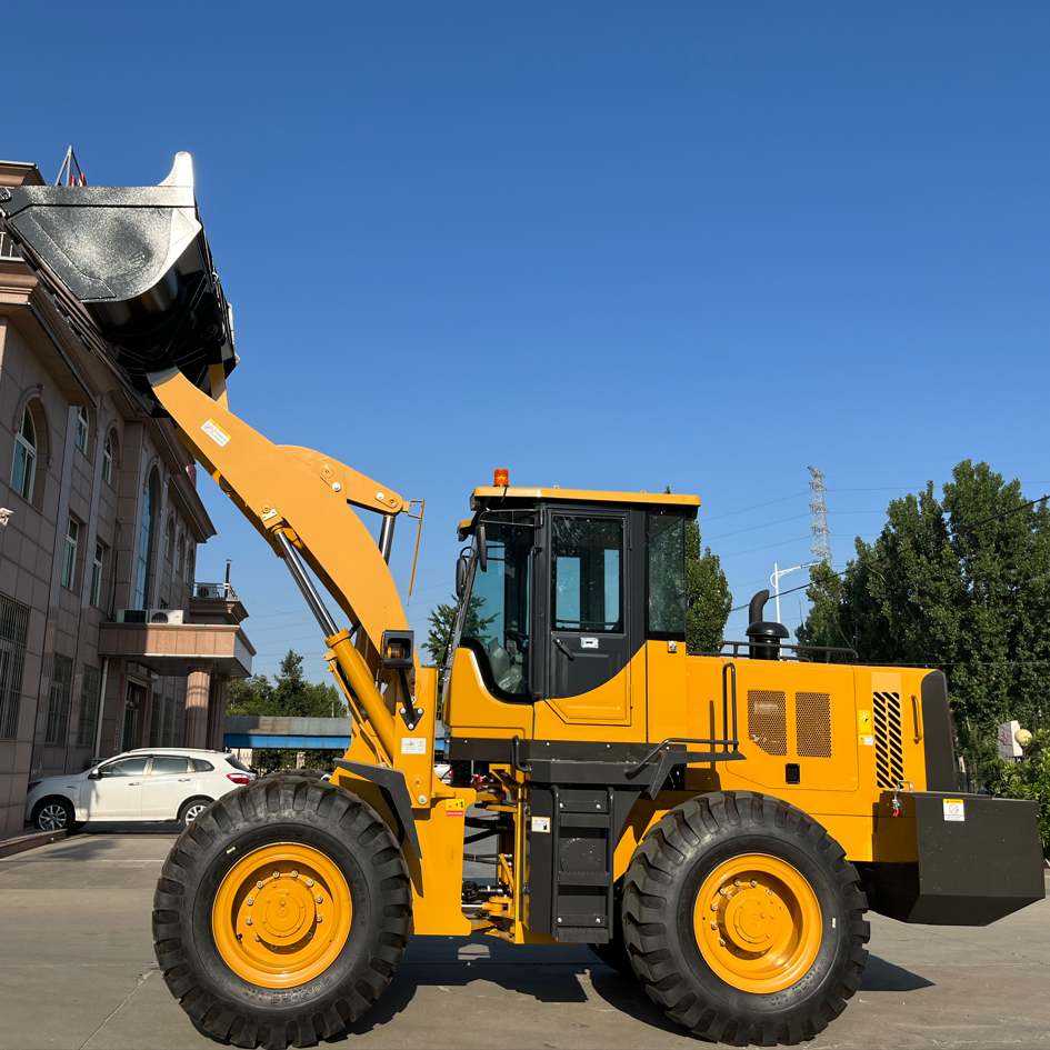 LT968G 6TON LOADER ZF